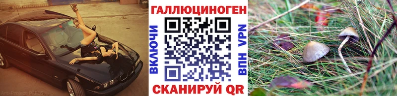 hydra ТОР  Орёл  Галлюциногенные грибы Psilocybe 